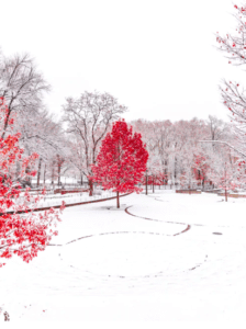 winter