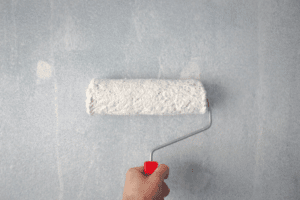 painting the walls